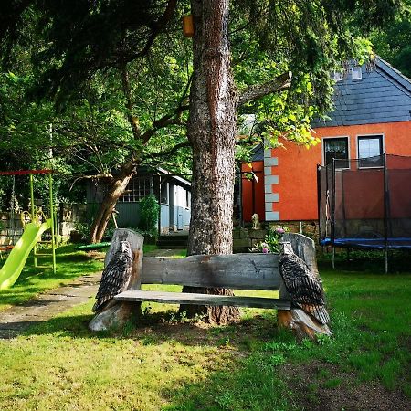 Ferienhaus Franz - An Der Elbe, Mit Grossem Garten ピルナ エクステリア 写真
