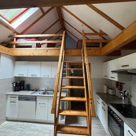 Ferienhaus Franz - An Der Elbe, Mit Grossem Garten ピルナ エクステリア 写真