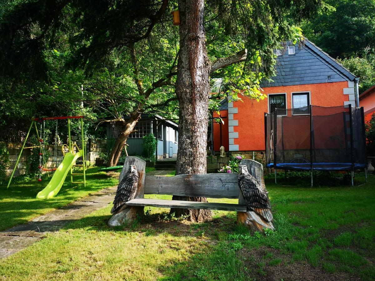 Ferienhaus Franz - An Der Elbe, Mit Grossem Garten ピルナ エクステリア 写真