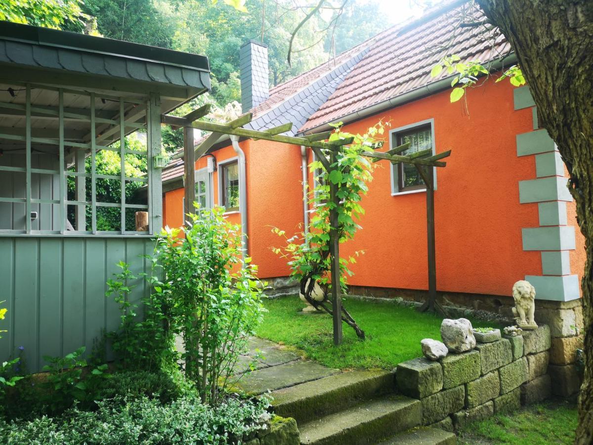 ピルナ Ferienhaus Franz - An Der Elbe, Mit Grossem Gartenヴィラ エクステリア 写真