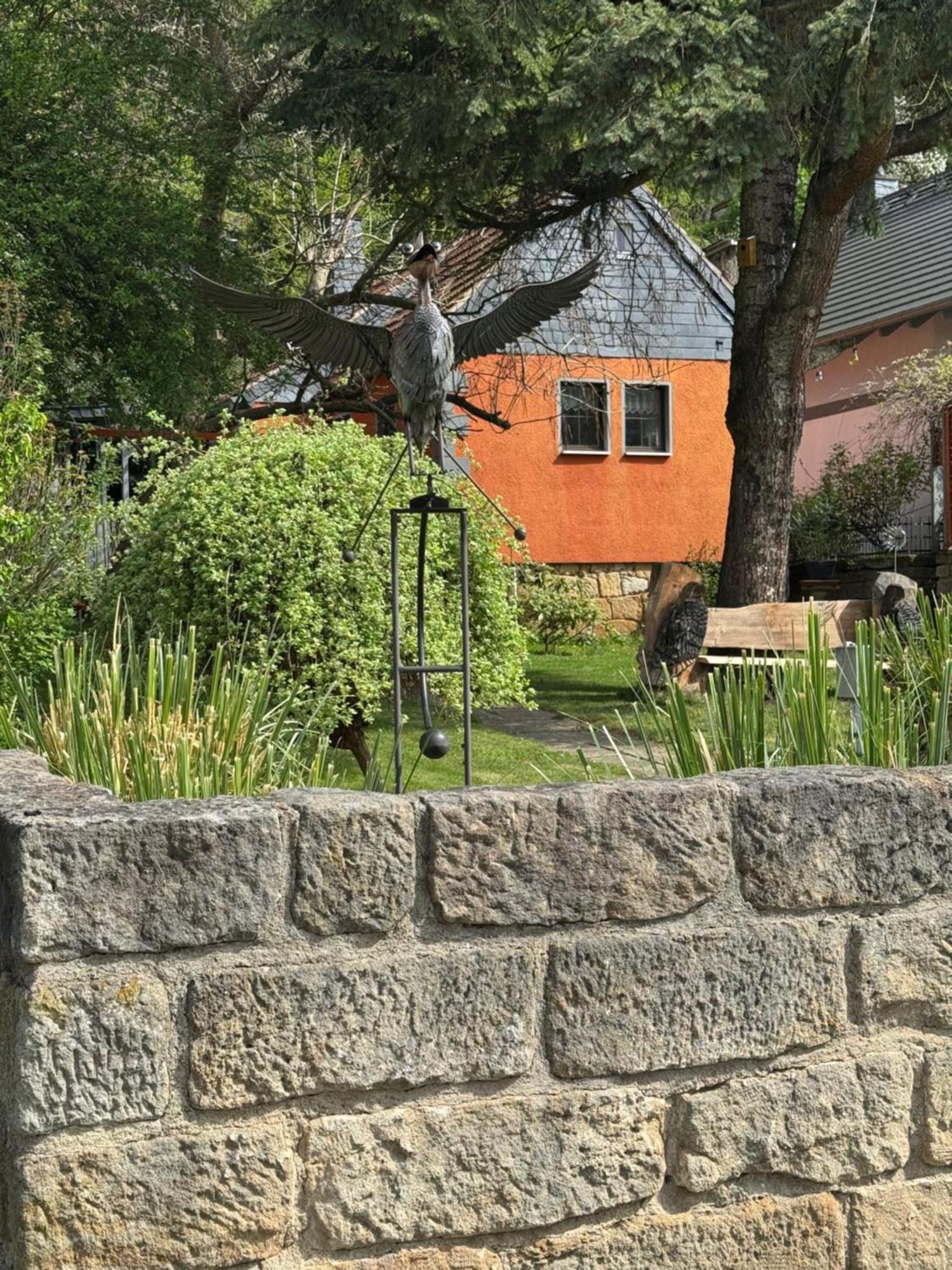 Ferienhaus Franz - An Der Elbe, Mit Grossem Garten ピルナ エクステリア 写真