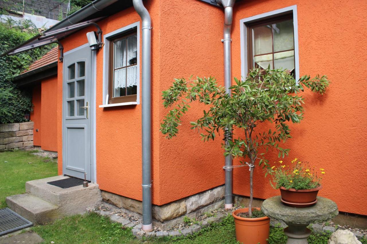 Ferienhaus Franz - An Der Elbe, Mit Grossem Garten ピルナ エクステリア 写真