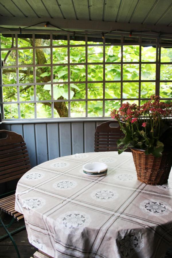 Ferienhaus Franz - An Der Elbe, Mit Grossem Garten ピルナ エクステリア 写真